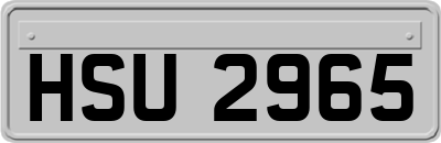 HSU2965