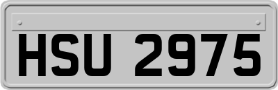 HSU2975