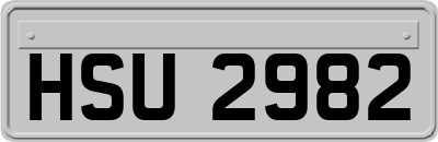 HSU2982