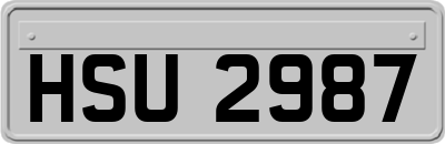 HSU2987