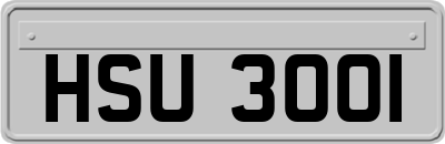 HSU3001
