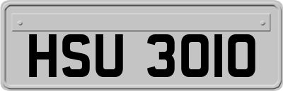 HSU3010