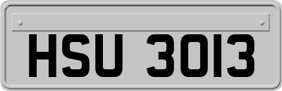 HSU3013