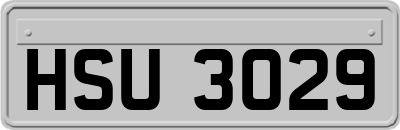 HSU3029