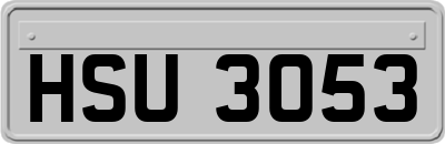 HSU3053