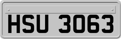 HSU3063