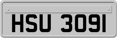 HSU3091