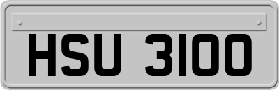 HSU3100
