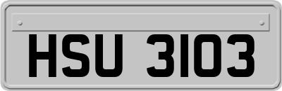 HSU3103
