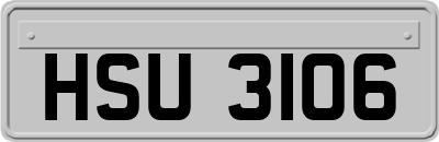HSU3106