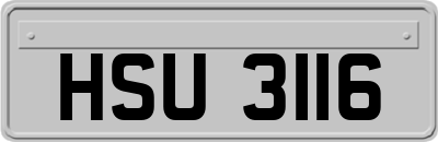 HSU3116
