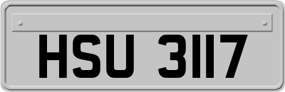 HSU3117