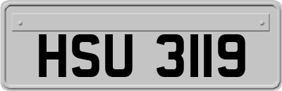 HSU3119