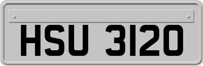 HSU3120