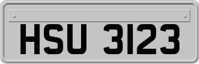 HSU3123