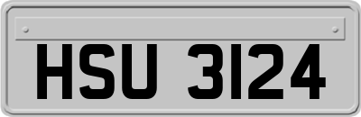 HSU3124