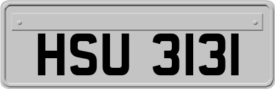 HSU3131