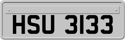 HSU3133