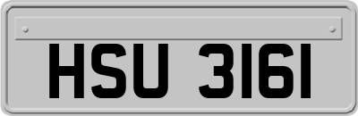 HSU3161