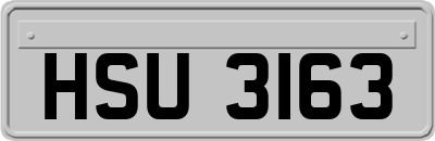 HSU3163