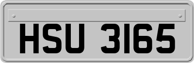 HSU3165