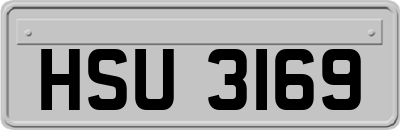 HSU3169