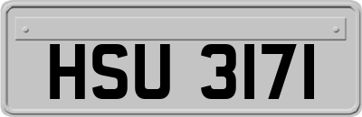 HSU3171