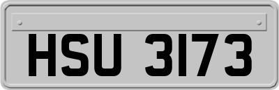 HSU3173