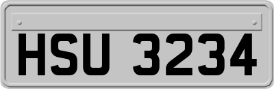 HSU3234
