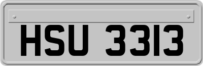 HSU3313
