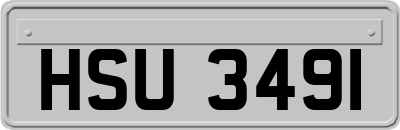 HSU3491