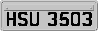 HSU3503