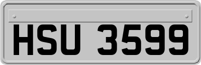 HSU3599