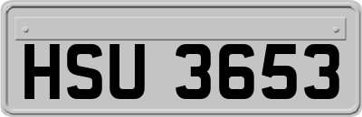 HSU3653