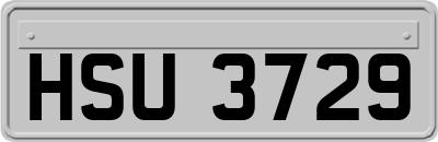HSU3729