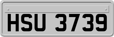 HSU3739