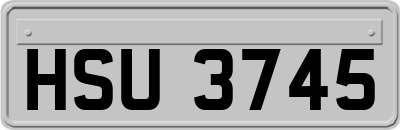 HSU3745