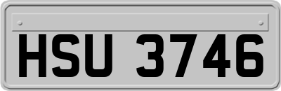 HSU3746