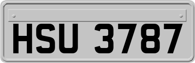 HSU3787