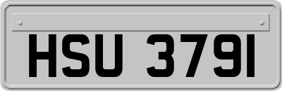 HSU3791