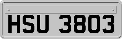 HSU3803