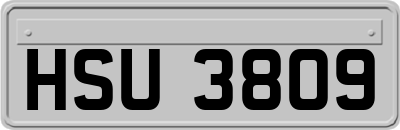 HSU3809