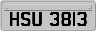 HSU3813