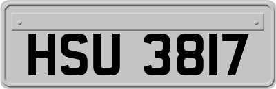 HSU3817