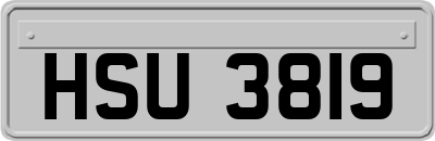 HSU3819