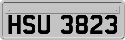 HSU3823