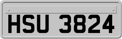 HSU3824