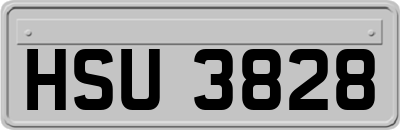 HSU3828