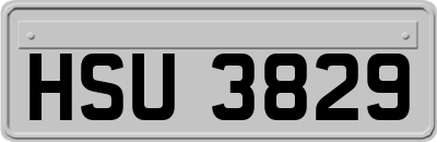 HSU3829