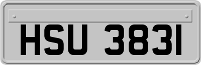 HSU3831